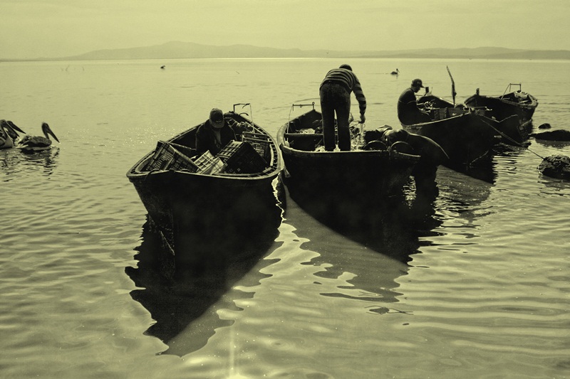 bereketli balıkçıları