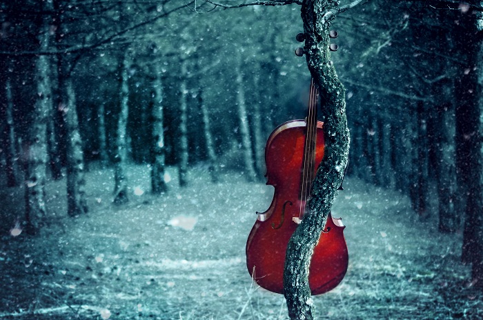 snow and cello
