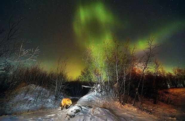 Aurora Borealis