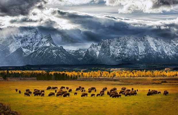 Glen Hush