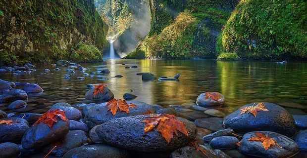 Punch Bowl