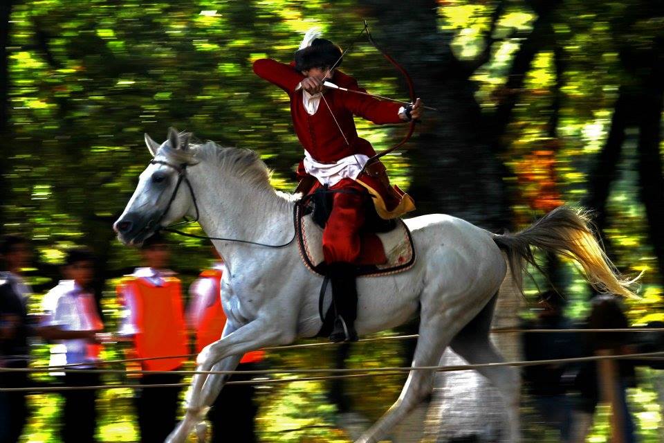 10374447_272286952965764_5580041956062603244_n